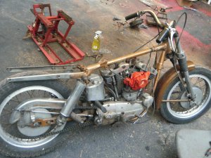 Harley Davidson motorcycle photograph