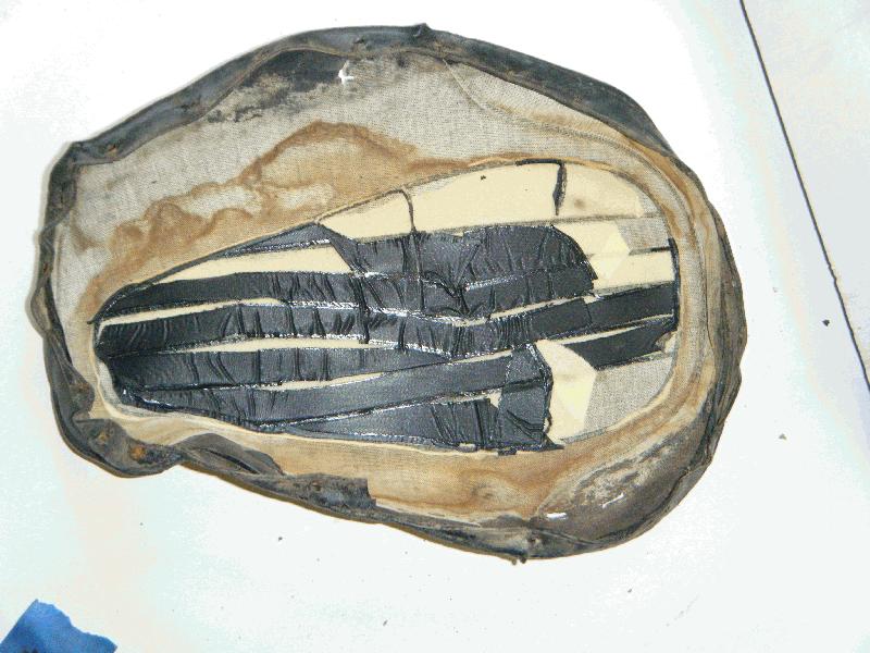 Inside of Removed Cover