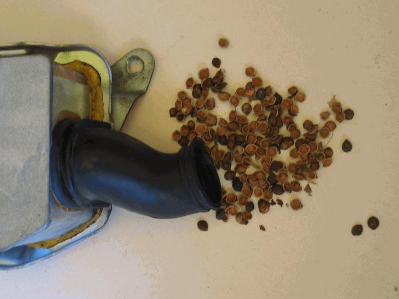April 9 - Discovered nut shells in air filter from mice