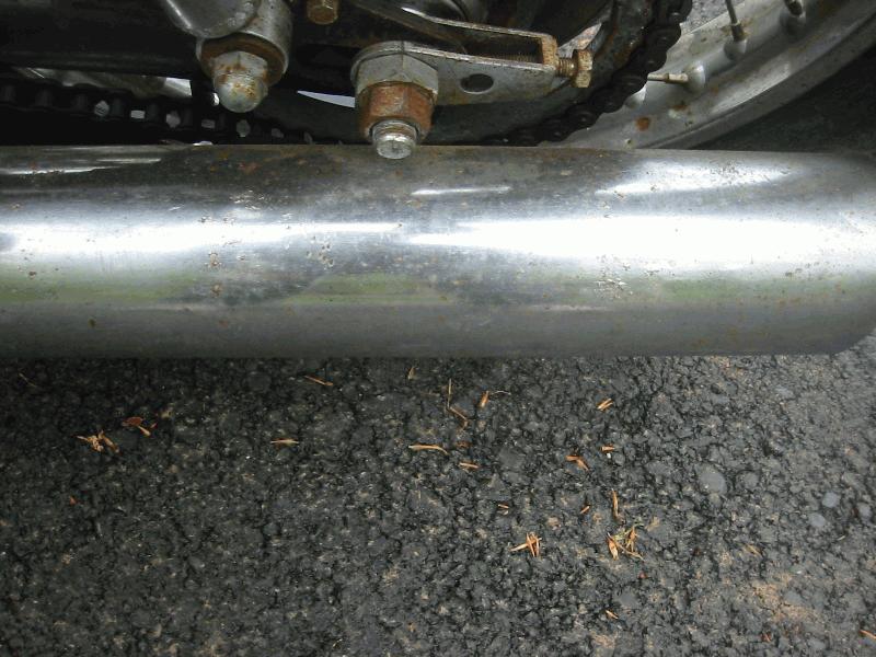 Muffler