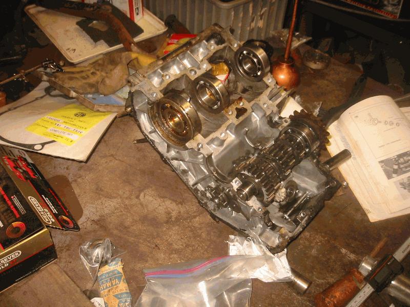 Checking that all bearings purchased actually fit.