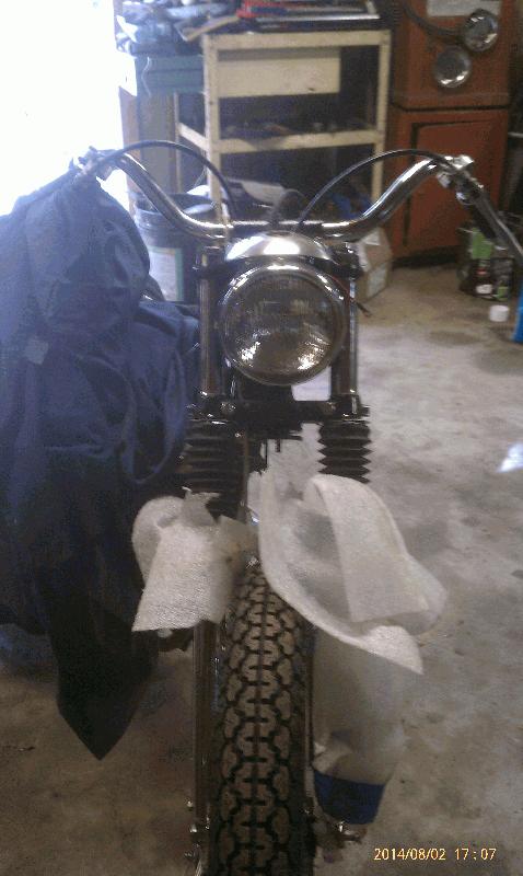 Headlight and eyebrow on.